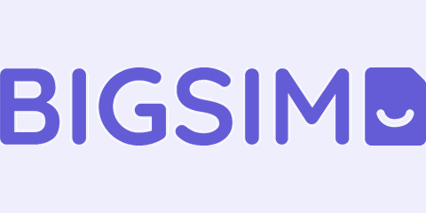 BIGSIM Logo